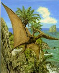 Pteranodon  Alfred R.