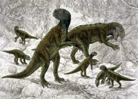Psittacosaurus andrewsi